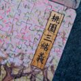 DSCF9299 拷贝